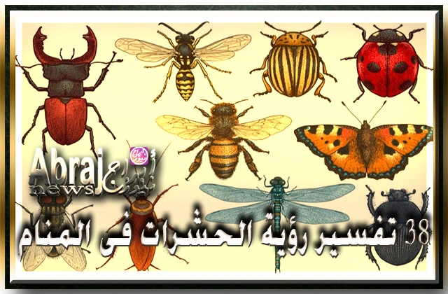 38 تفسير رؤية الحشرات فى المنام . دلالات رؤية الحشرات