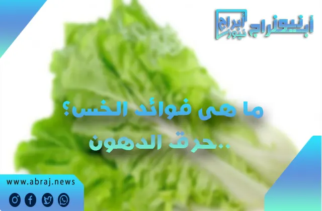 ما هى فوائد الخس؟ حرق الدهون..