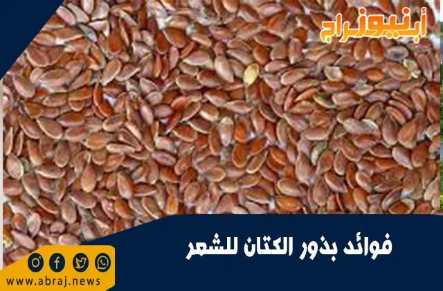 فوائد بذور الكتان للشعر.. مصدرًا غنيًا بفيتامين هـ