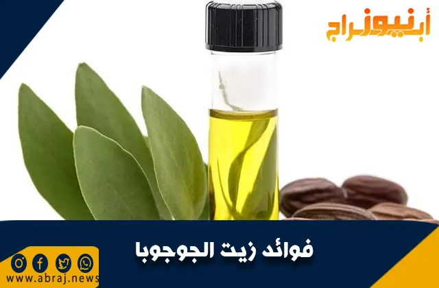 فوائد زيت الجوجوبا.. شجيرة هووبا