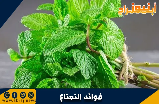 فوائد النعناع .. طب الأعشاب التقليدي