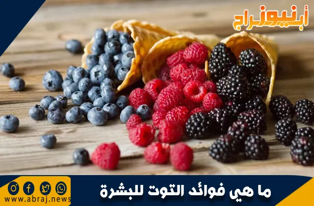 ما هي فوائد التوت للبشرة .. طب الأعشاب التقليدي