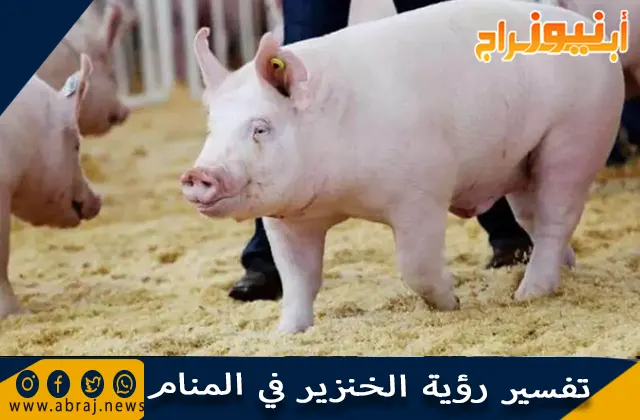 تفسير رؤية الخنزير في المنام