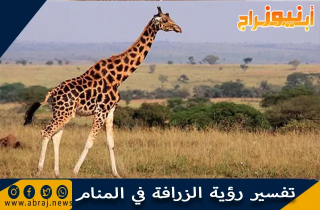 تفسير رؤية الزرافة في المنام