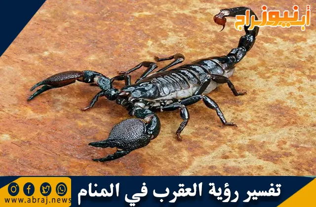 تفسير رؤية العقرب في المنام للمتزوجة