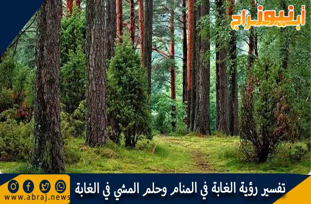 تفسير رؤية الغابة في المنام وحلم المشي في الغابة