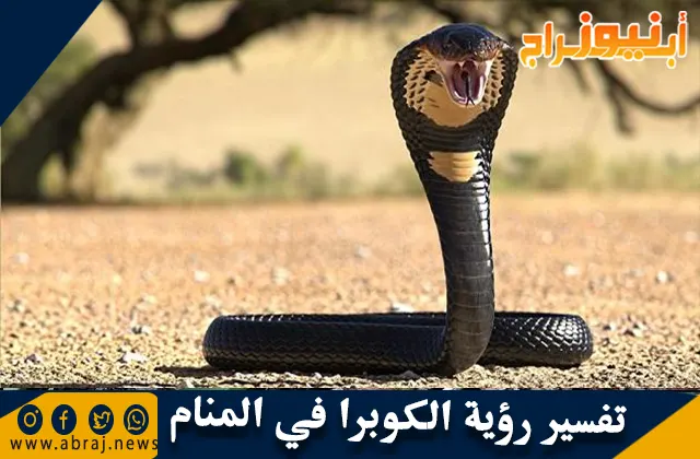 تفسير رؤية الكوبرا في المنام وحلم هجوم أفعى الكوبرا
