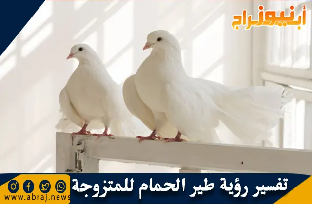 تفسير رؤية طير الحمام للمتزوجة