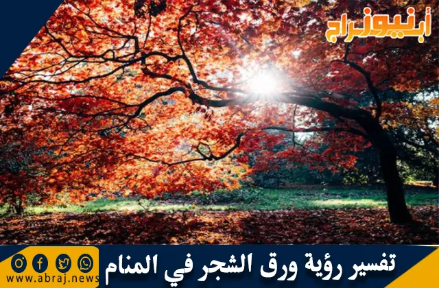 تفسير رؤية ورق الشجر في المنام وحلم سقوط ورق الشجر