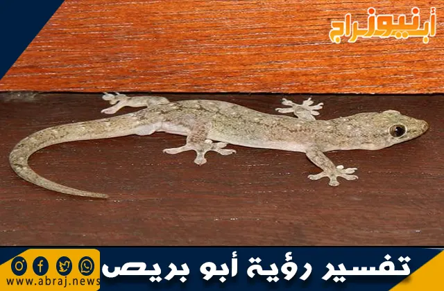 تفسير رؤية أبو بريص