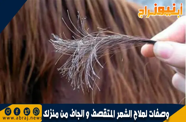 وصفات لعلاج الشعر المتقصف و الجاف من منزلك