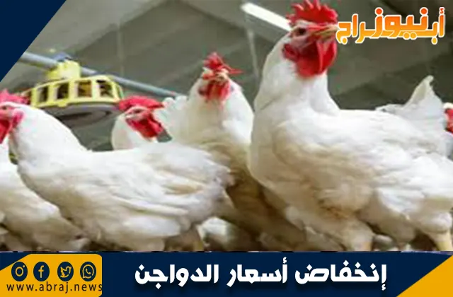 إنخفاض أسعار الدواجن .. إعرف إمتى عشان تشتري