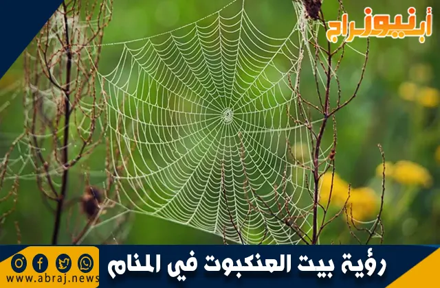 رؤية بيت العنكبوت في المنام