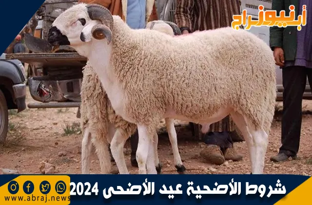 شروط الأضحية عيد الأضحى 2024