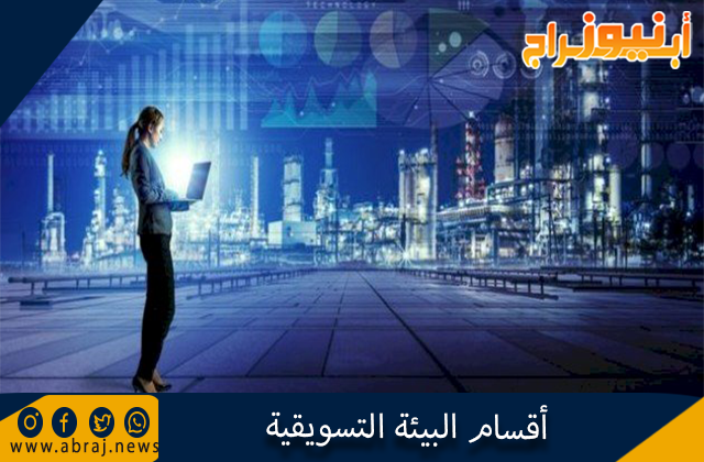 أقسام البيئة التسويقية