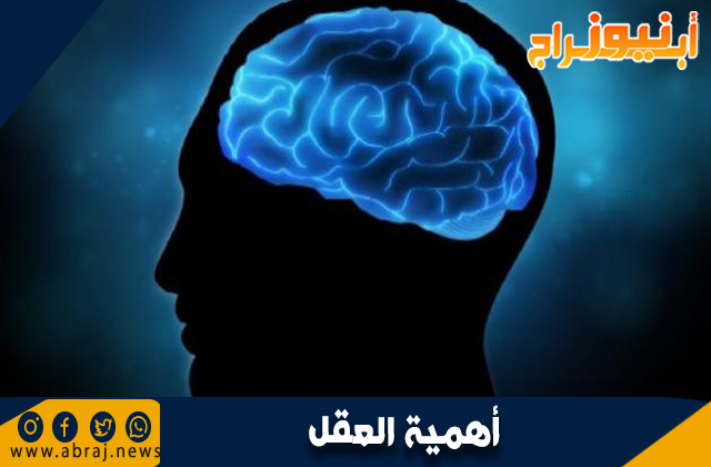 أهمية العقل