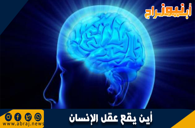أين يقع عقل الإنسان