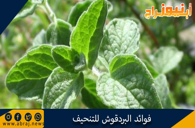 فوائد البردقوش للتنحيف