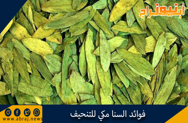 فوائد السنا مكي للتنحيف