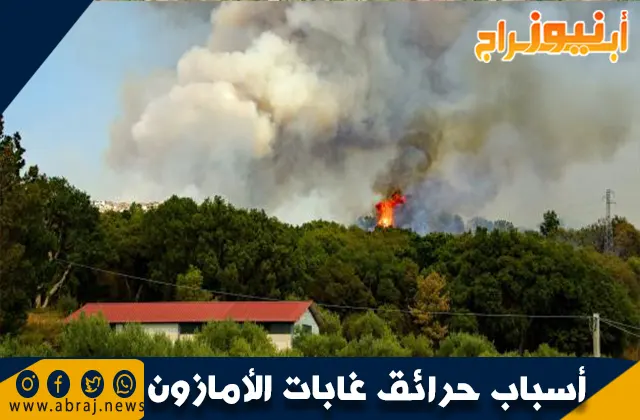 أسباب حرائق غابات الأمازون