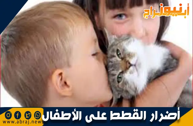 أضرار القطط على الأطفال: المخاطر الصحية والوقاية منها