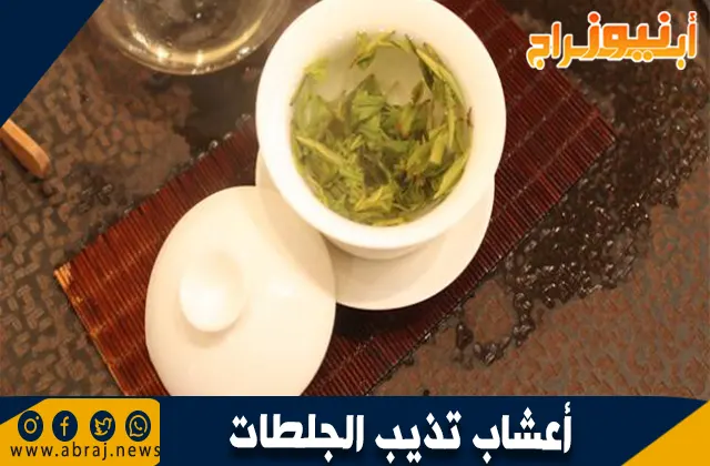 أعشاب تساعد على إذابة الجلطات