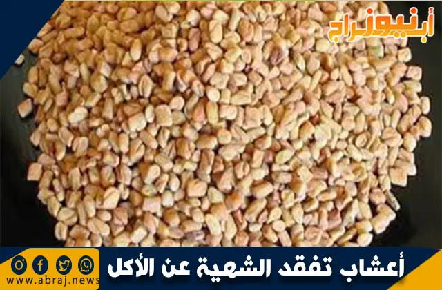 أعشاب تفقد الشهية عن الأكل