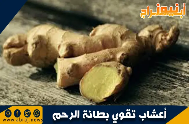 أعشاب تقوي بطانة الرحم