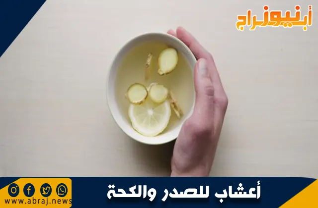 أعشاب للصدر والكحة