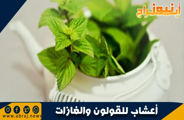 أعشاب للقولون والغازات