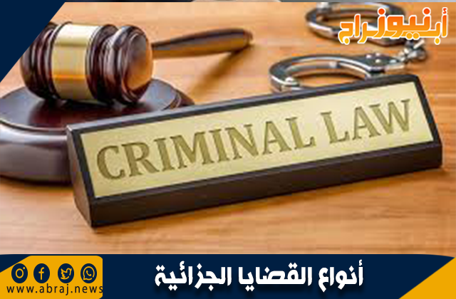 أنواع القضايا الجزائية