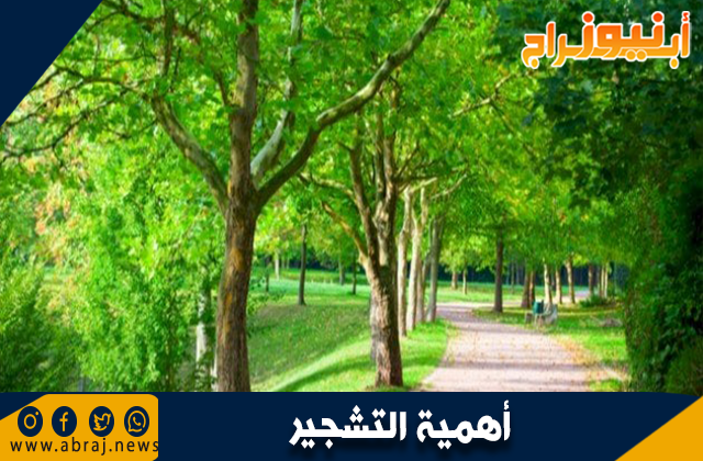 أهمية التشجير في تحسين البيئة