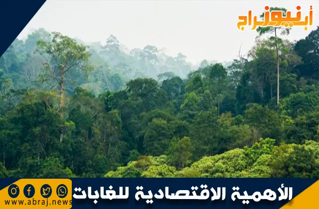الأهمية الاقتصادية للغابات الاستوائية المطيرة