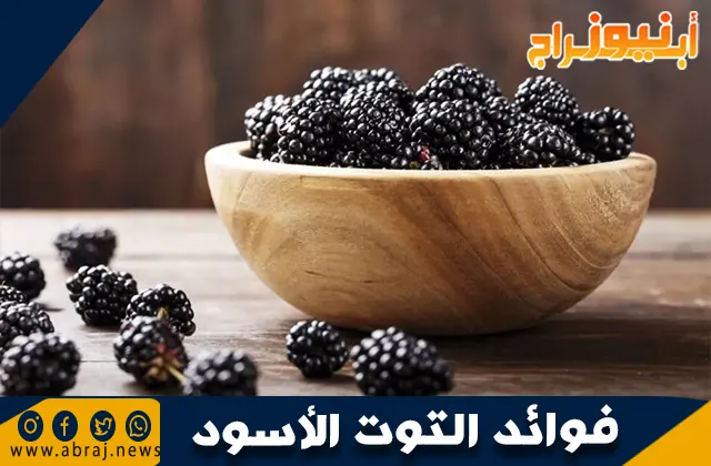 فوائد التوت الأسود: الفاكهة الغنية بالمغذيات والمضادات الطبيعية