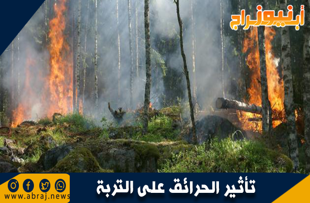 تأثير الحرائق على التربة