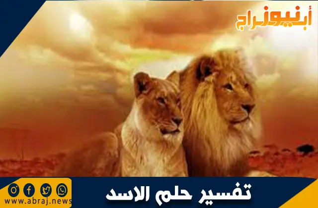 تفسير حلم الأسد: ماذا تعني رؤية الأسد في المنام؟