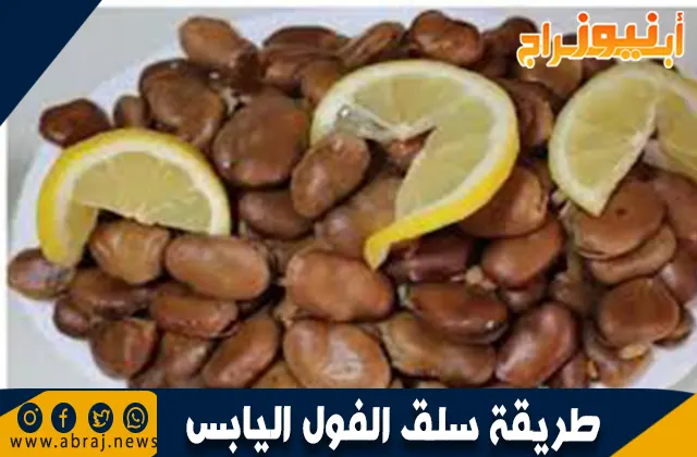 طريقة سلق الفول اليابس: دليل شامل لتحضير الفول اللذيذ