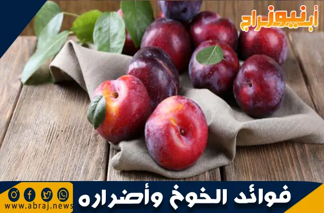 فوائد الخوخ وأضراره: الفاكهة اللذيذة بين الصحة والمخاطر