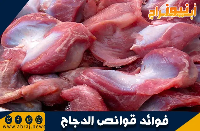 فوائد قوانص الدجاج: كنز غذائي لا يعرفه الكثيرون