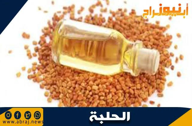 طرق استخدام الحلبة: الفوائد الصحية وأفضل الطرق للاستفادة منها