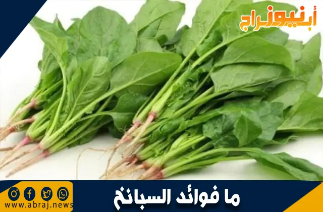 فوائد السبانخ: غذاء خارق لصحة أفضل