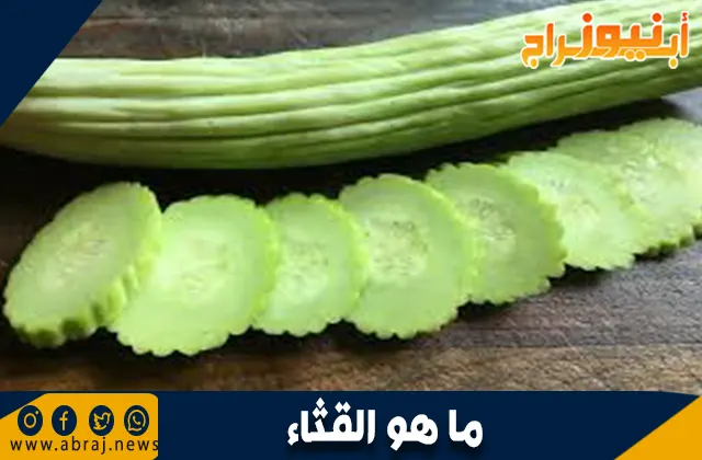 ما هو القثاء: فوائده الصحية وقيمته الغذائية