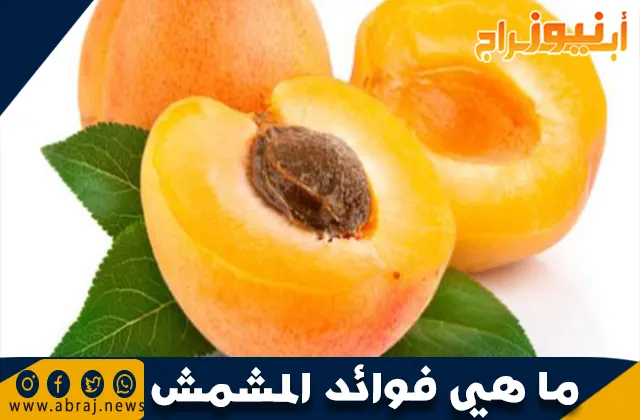 ما هي فوائد المشمش