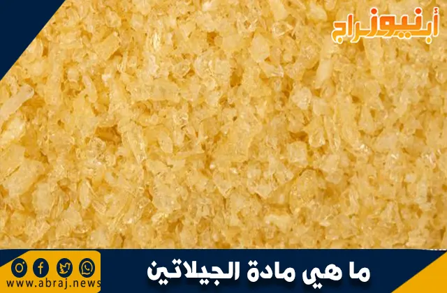 ما هي مادة الجيلاتين