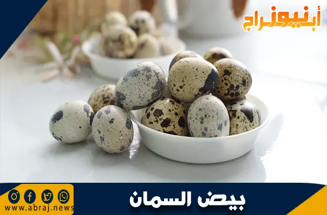 فوائد بيض السمان: غذاء خارق لصحة أفضل