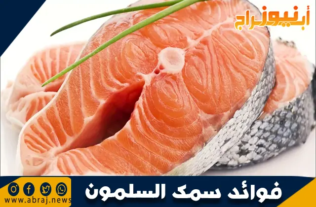 فوائد سمك السلمون: الغذاء الفائق لصحة الجسم