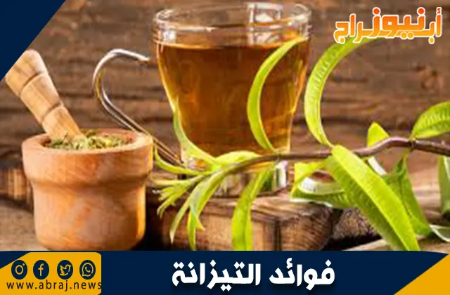 فوائد التيزانة: المشروب العشبي السحري لصحة أفضل