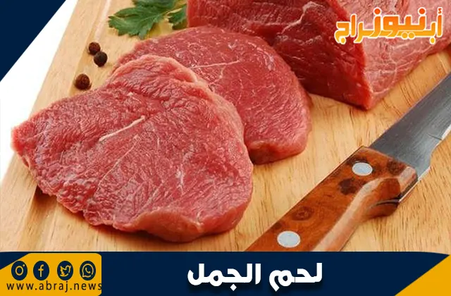 فوائد لحم الجمل: كنز صحي لا يُقدر بثمن
