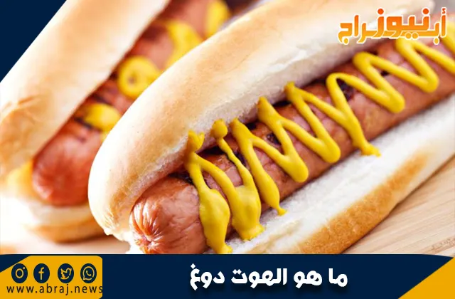 ما هو الهوت دوغ؟ دليلك الشامل عن السجق الأشهر في العالم