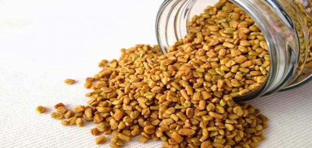 فوائد الحلبة للصحة العامة والجسم